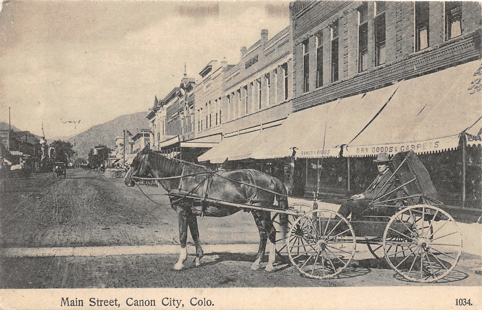 J7/ Canon City Colorado Postcard c1910 Main St Carpet Store Buggy Horse 29