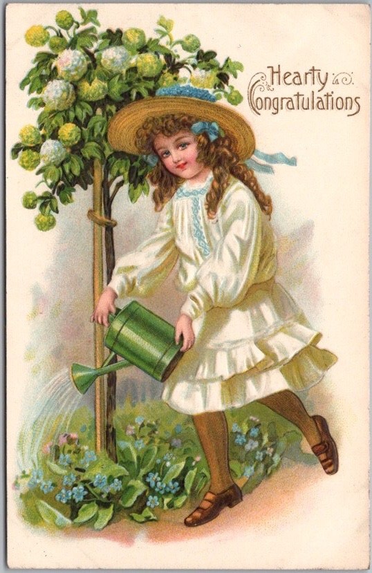 1910s Embossed Greetings Postcard \