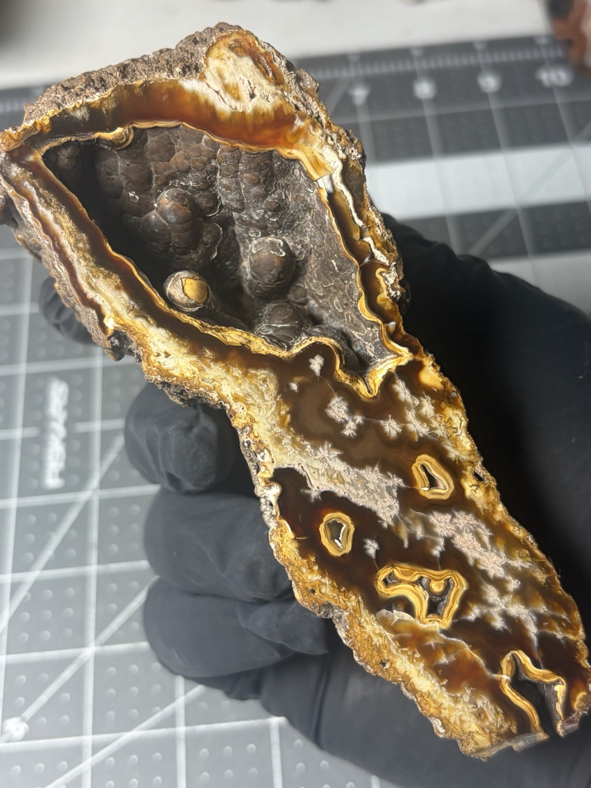 Carnelian Agatized Coral  Botryodial Geode Polished Uv Reactive Agate
