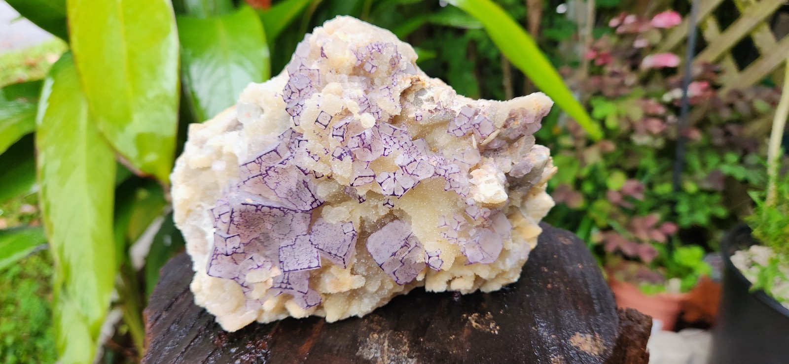 ✨ Museum-Quality Etched Purple Fluorite on Calcite | Inner Mongolia | 2.58 lb  ✨