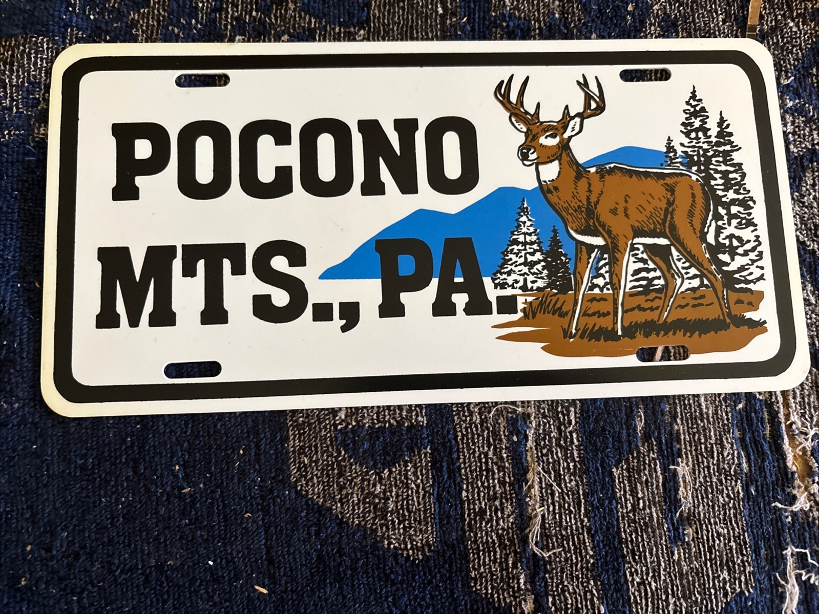 Pocono Mountains PA Pennsylvania Plastic License Plate Hunting