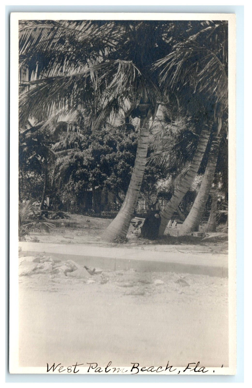 1904-1918 West Palm Beach FL Florida Woman Holding Coconut Under Tree RPPC