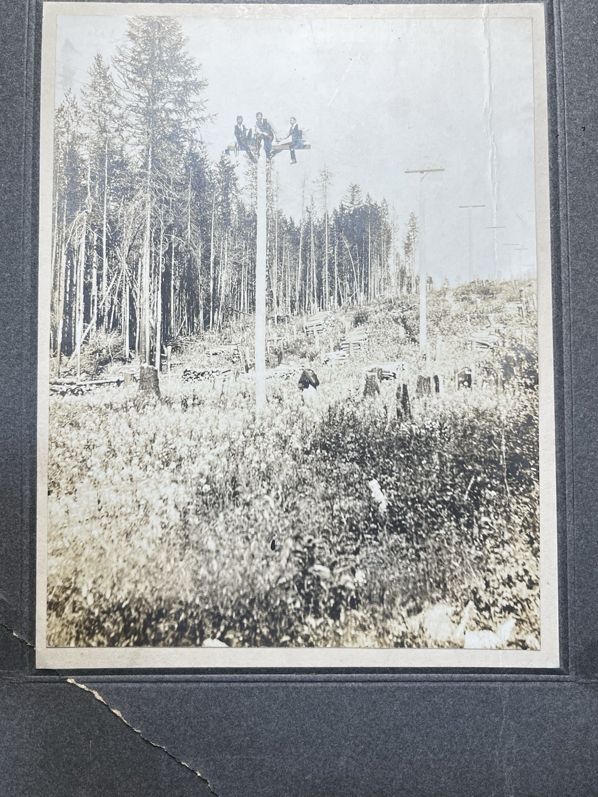 Antique c1910-1920 Original Photograph Three Men Atop Telephone/Telegraph Pole 