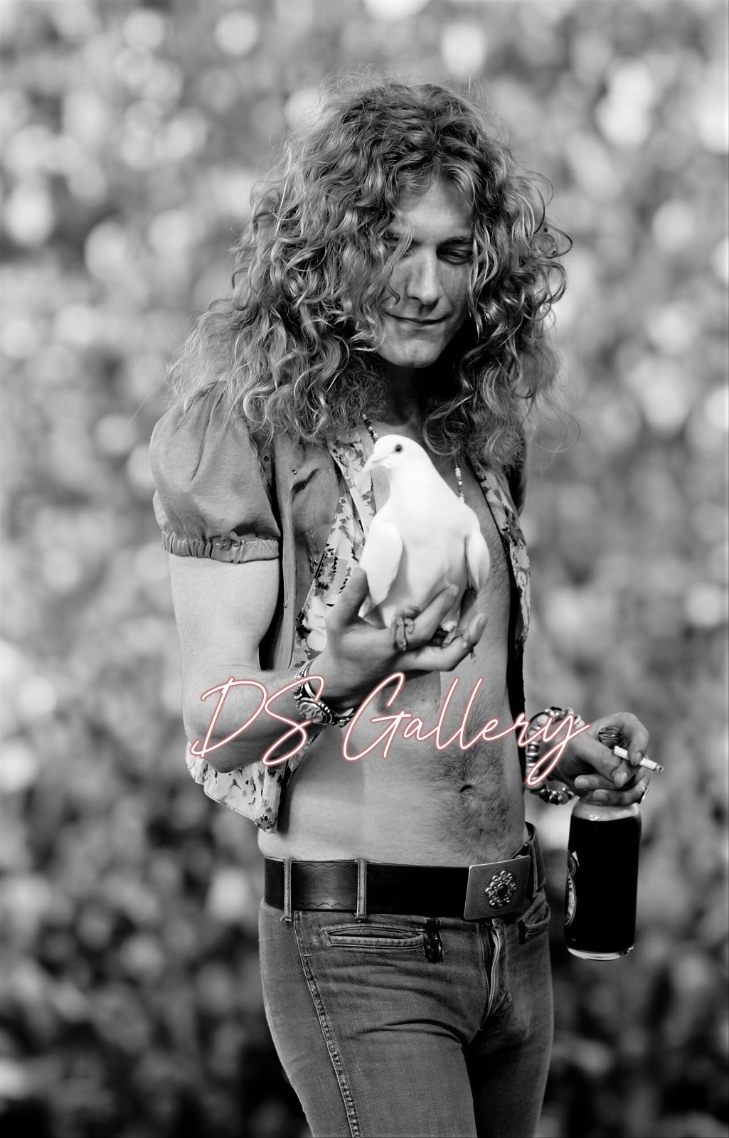 Robert Plant Holding Dove On Stage at San Francisco Concert 