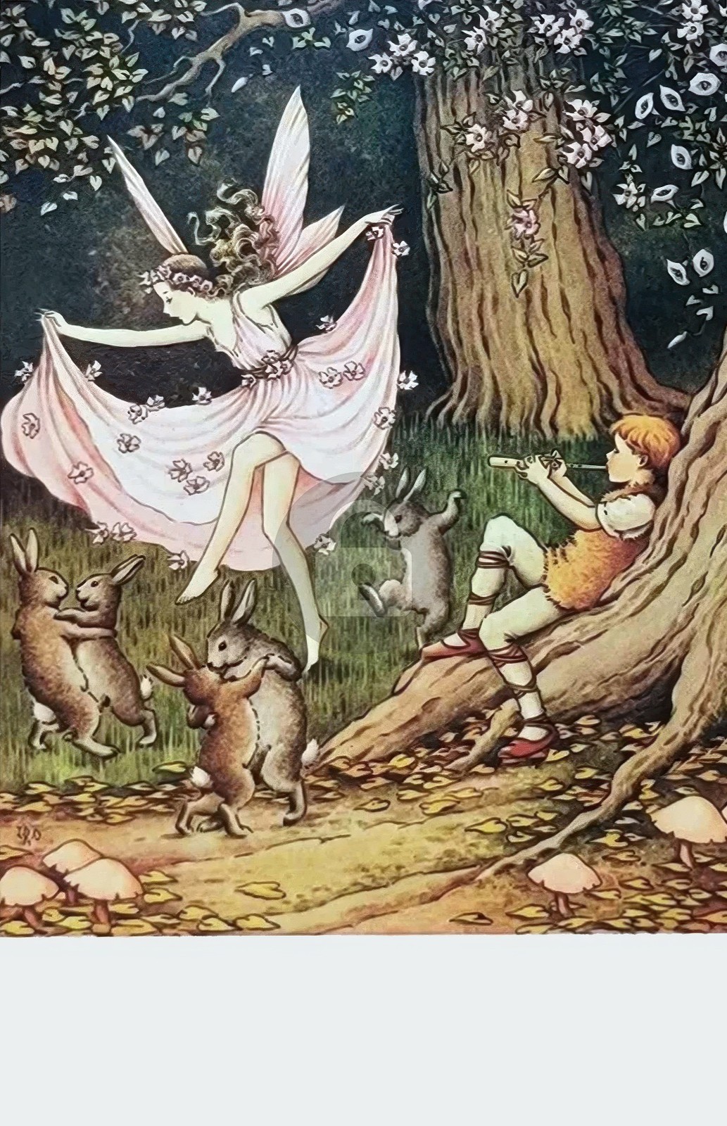 Ida Rentoul Outhwaite BENEATH THE BLOSSOM Repro Art Postcard