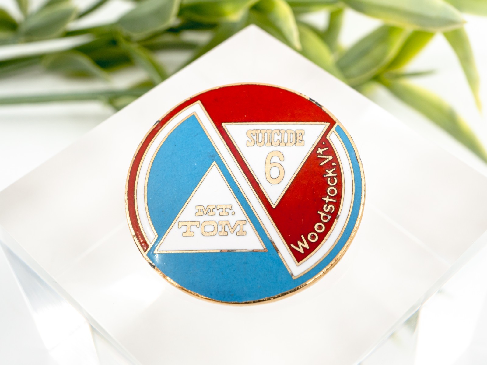 Rare Mt. Tom Suicide (Saskadena) Six Ski Areas Woodstock, VT Vintage Enamel Pin