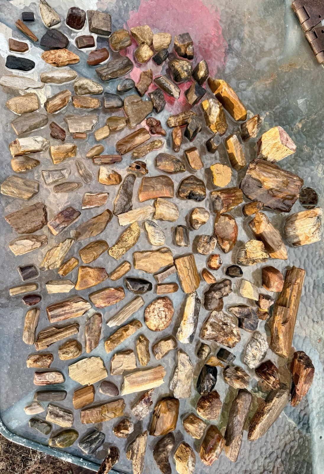 SPECTACULAR* 156 Pc-22# HUGE LOT~Petrified Fossil Wood~OUTSTANDING DETAILED LOT