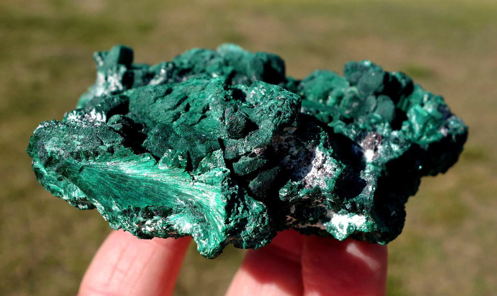 Green MALACHITE Natural FIBROUS Crystal from Congo in South Africa FM1