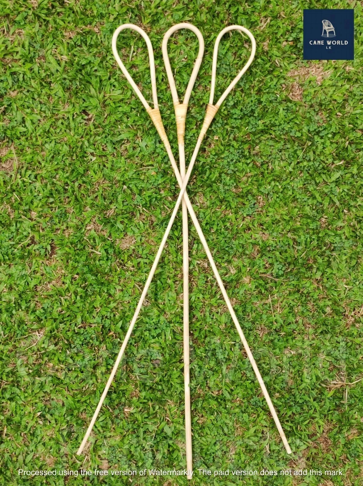 2pc Rattan Cane Scholastic sticks High Quality (Medium 0.6 - 0.8 cm)