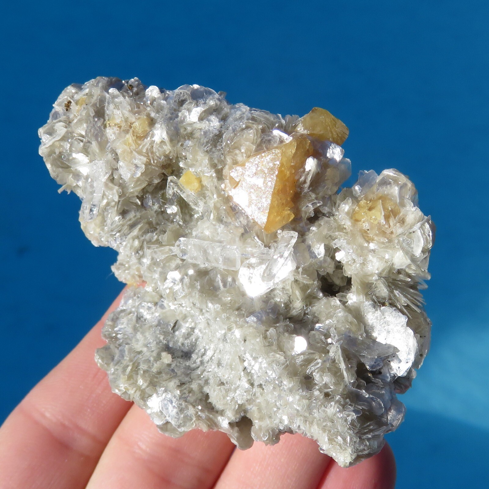 Stunning Scheelite Octahedral On Muscovite Silvered China