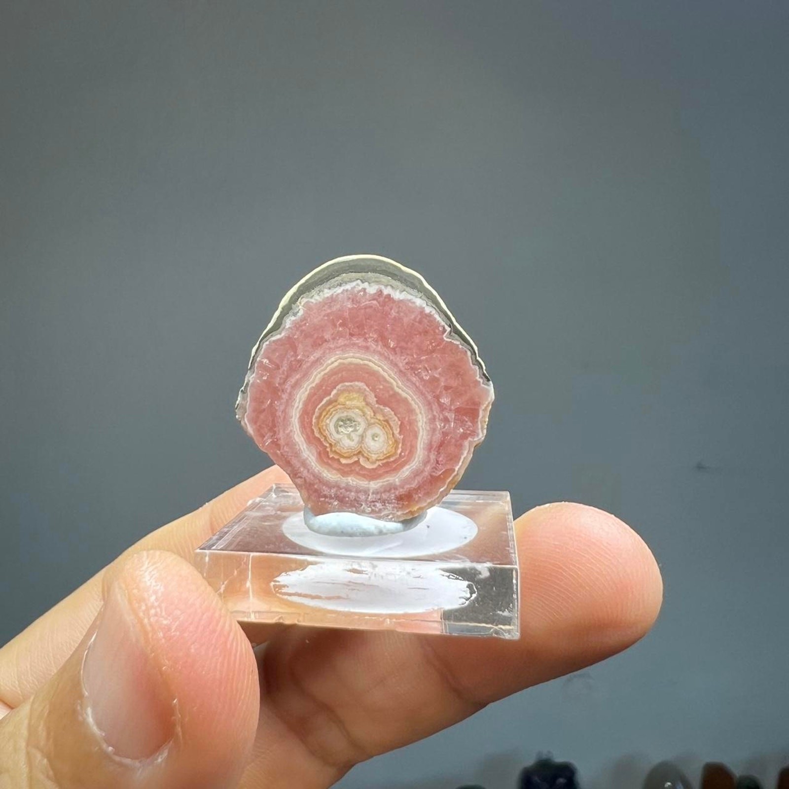 Pink rhodochrosite geode slice geode crystal slab