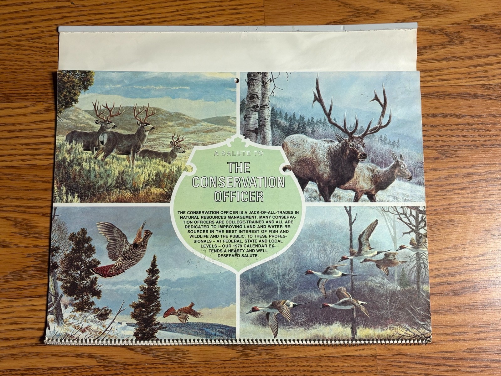 Vintage Original NOT REPRO Remington 1979 Wall Calendar Beautiful Artwork
