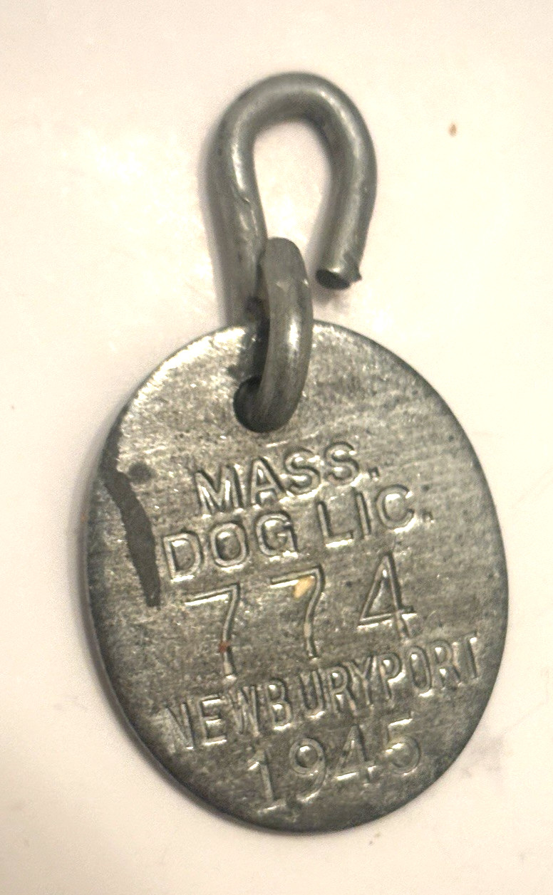 Antique 1945  Dog License Pet Tag  -  Newburyport MA.