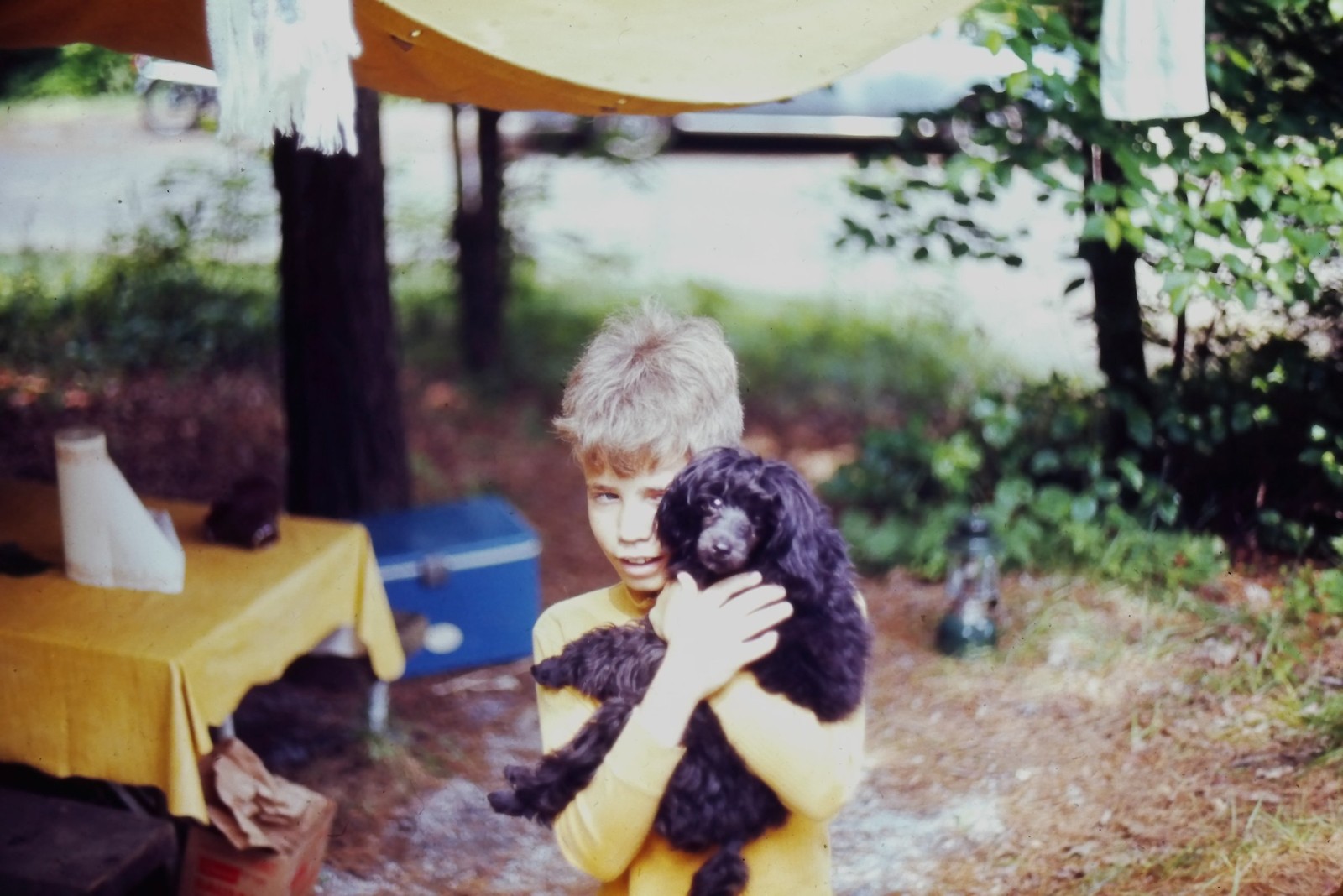 c1960's Ektachrome 35mm Slide, Boy Holding Black Poodle, Campsite poodle's
