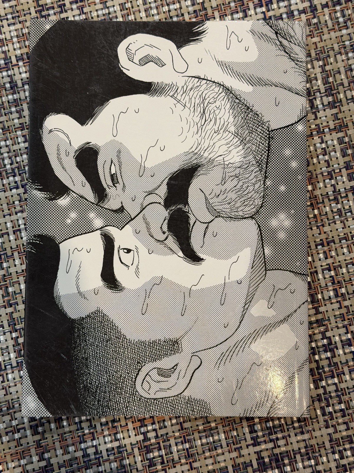 The Passion Of Gengoroh Tagame: Master Of Gay Manga Paperback 2013 First Edition