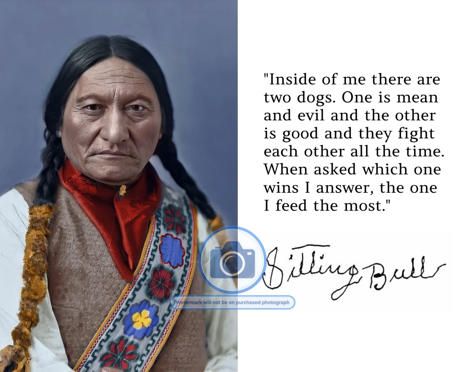 SITTING BULL NATIVE AMERICAN CHIEF 
