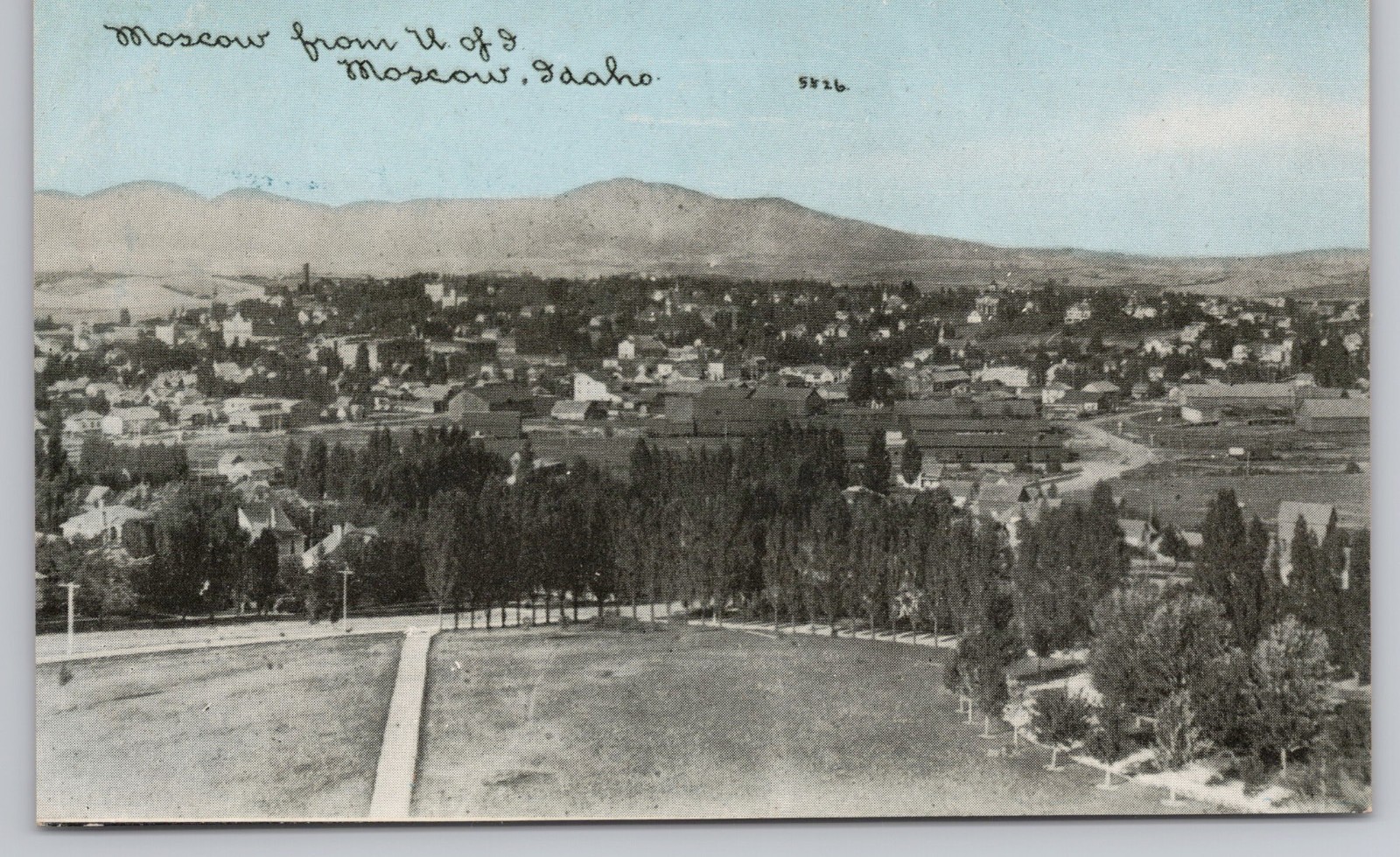 Vintage Moscow Idaho Postcard c1910 U of I Panoramic View CU Williams Photoette