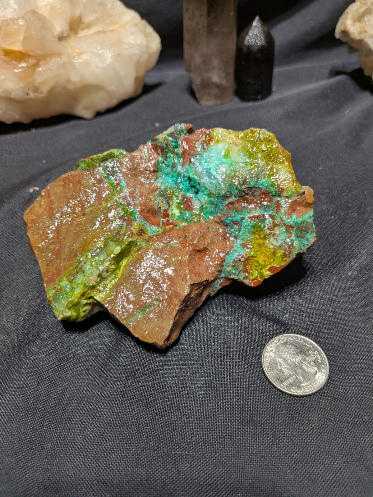 Chrysocolla Wood Specimen Natural Form (1lb) 