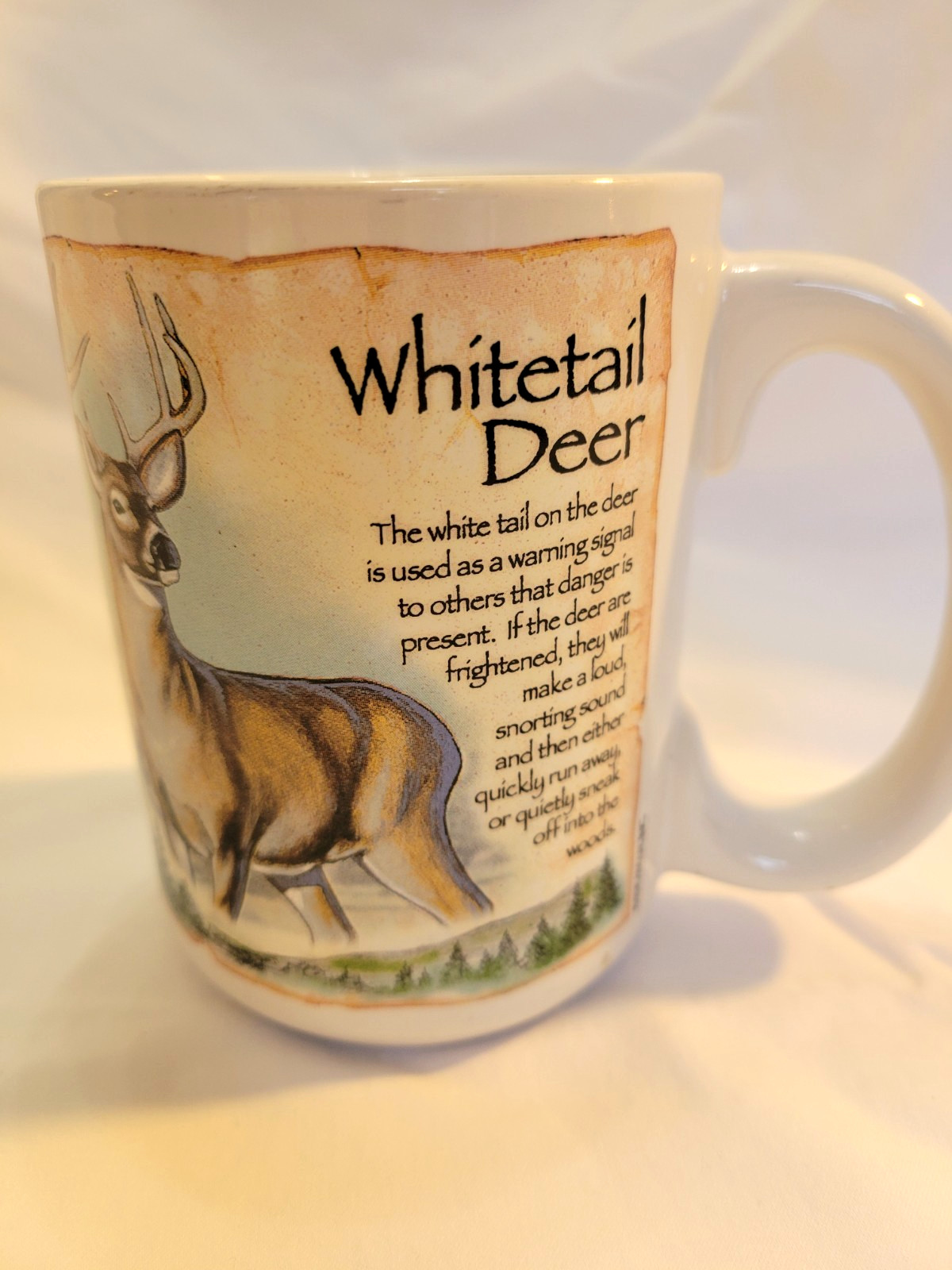 American Expedition White Tail Deer Mug Wildlife Diner Mug - Educational Wild