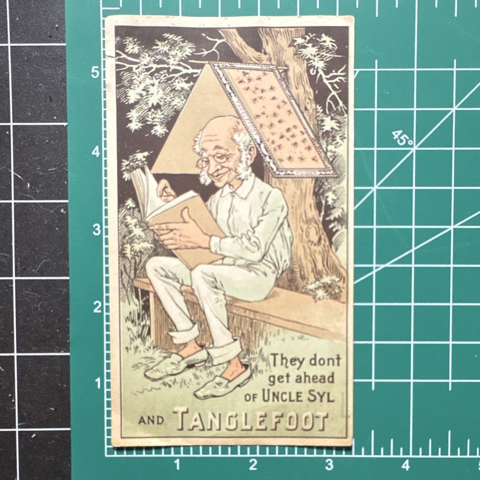 1898 Tanglefoot Sticky Fly Paper Portland ME. Victorian Trade Card