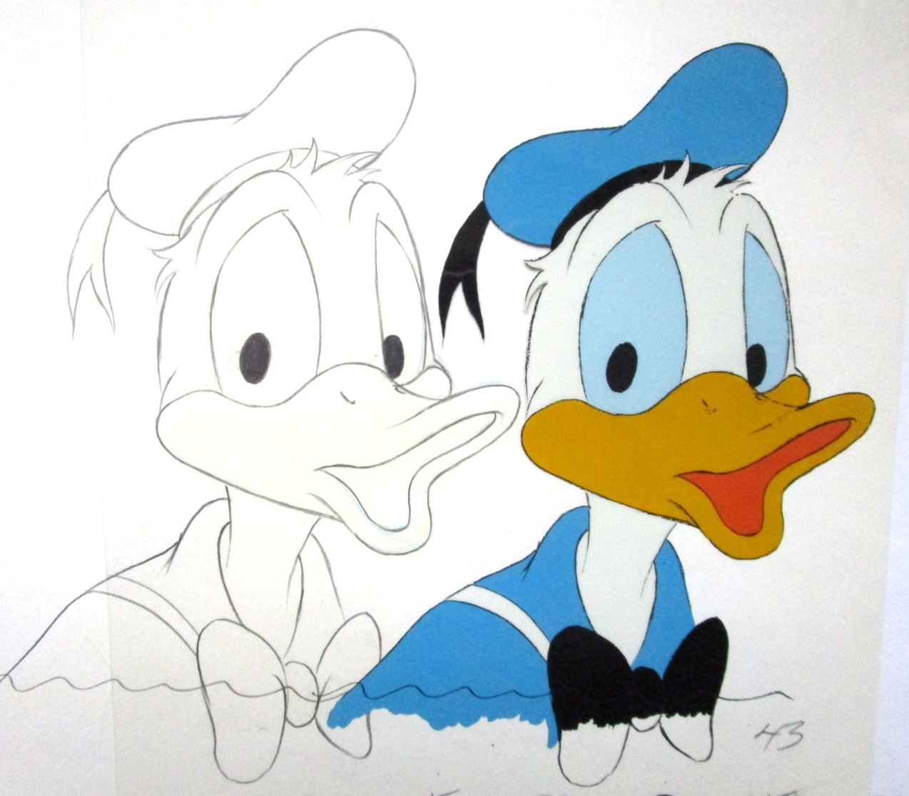 1980's DONALD DUCK WALT DISNEY ORIGINAL PRODUCTION CEL + DRAWING sailor hat