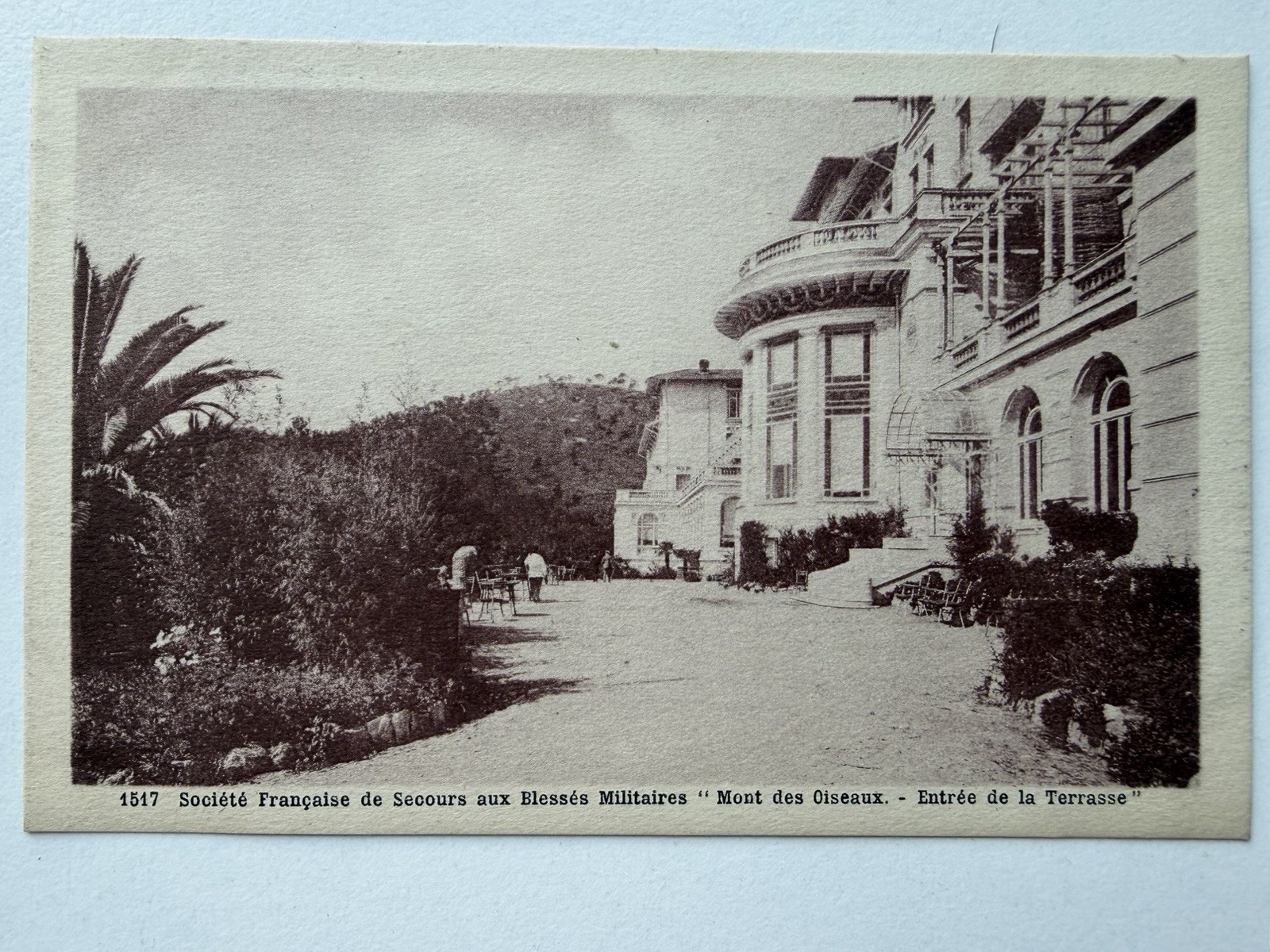 Antique France Postcard Mont des Oiseaux Hyeres Military Red Cross Terrace