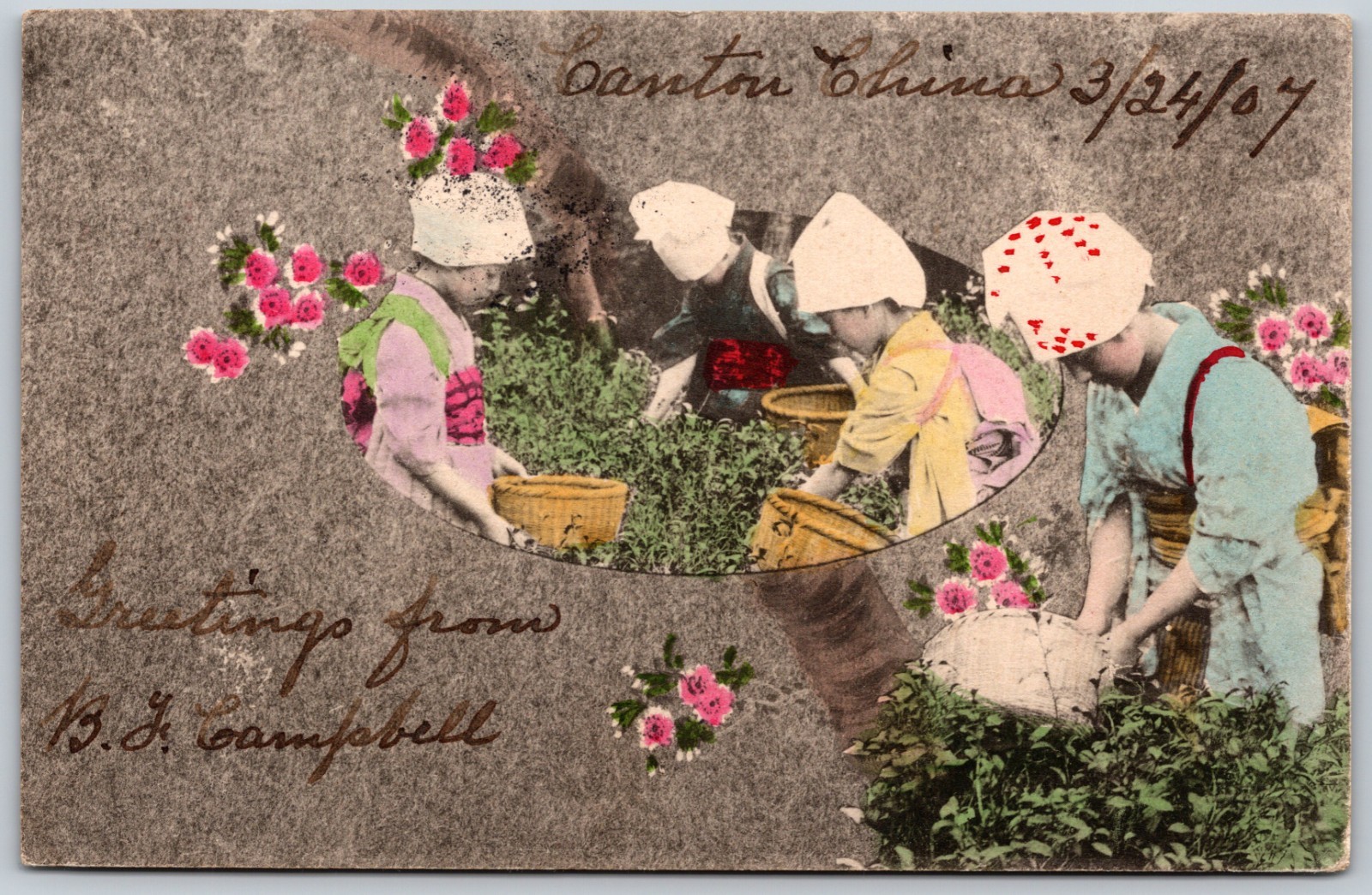 1907 Children Tea Harvesting Canton China Guangzhou Colorful ANTIQUE Postcard