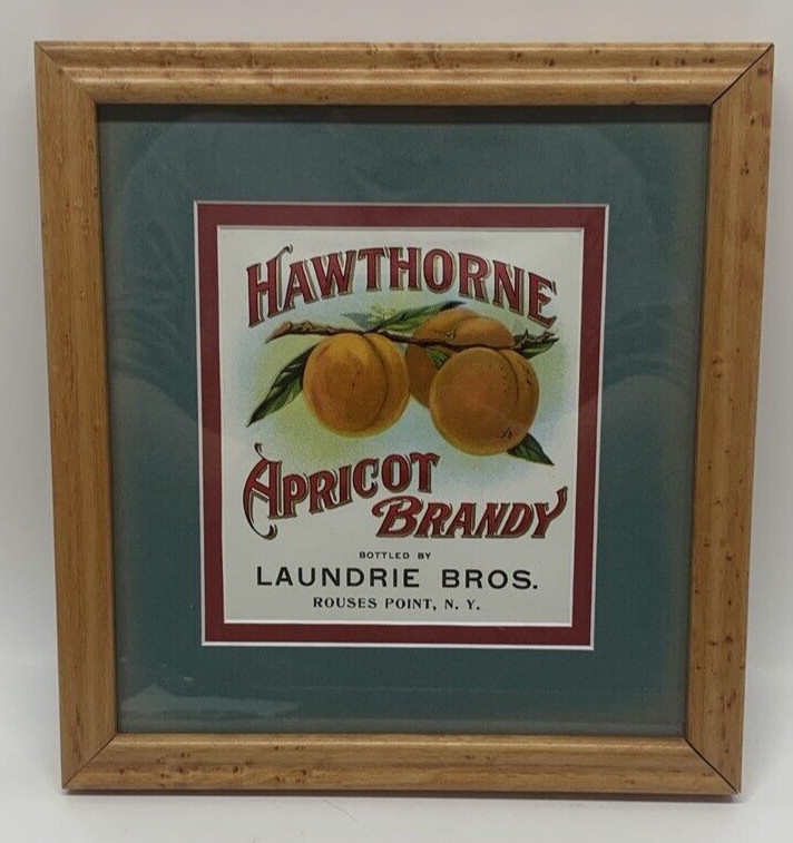 ATQ 1910s Framed HAWTHORNE Apricot Brandy LABEL Laundrie Bros. Rouses Point N.Y.