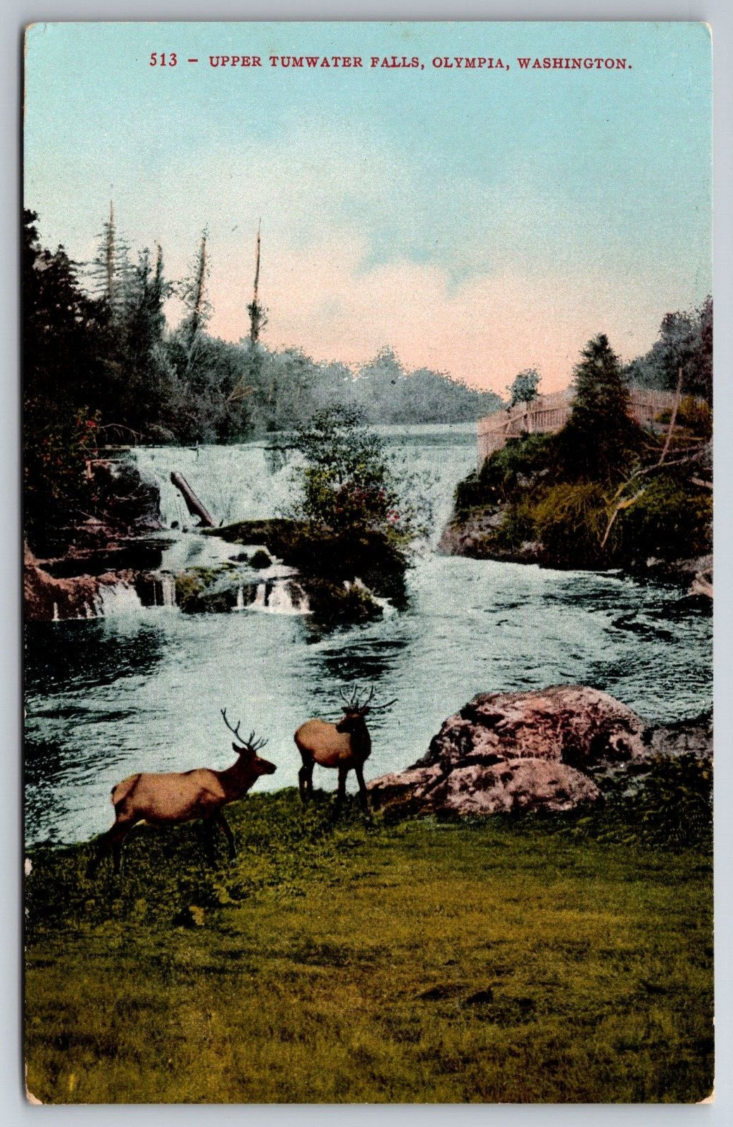 Vintage Postcard WA Olympia Upper Tumwater Falls Deer Divided Back