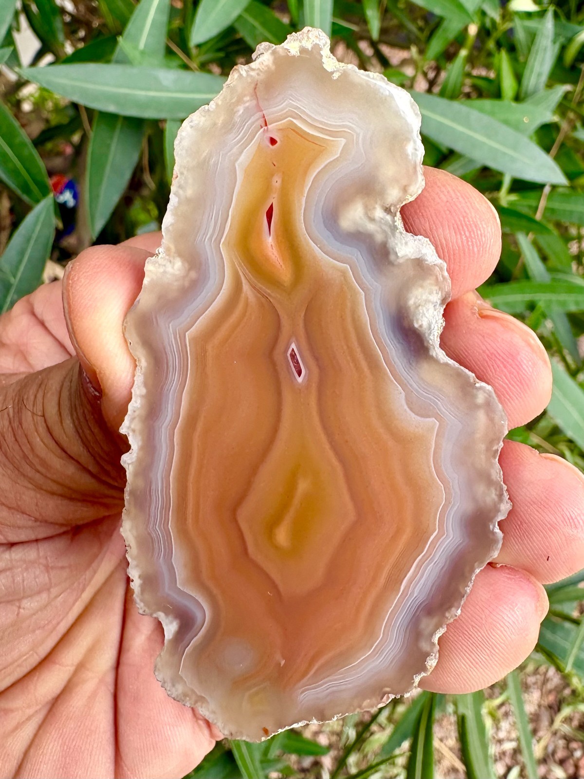 Polished Yellow / White / Translucent Laguna Agate - Chihuahua, Mexico
