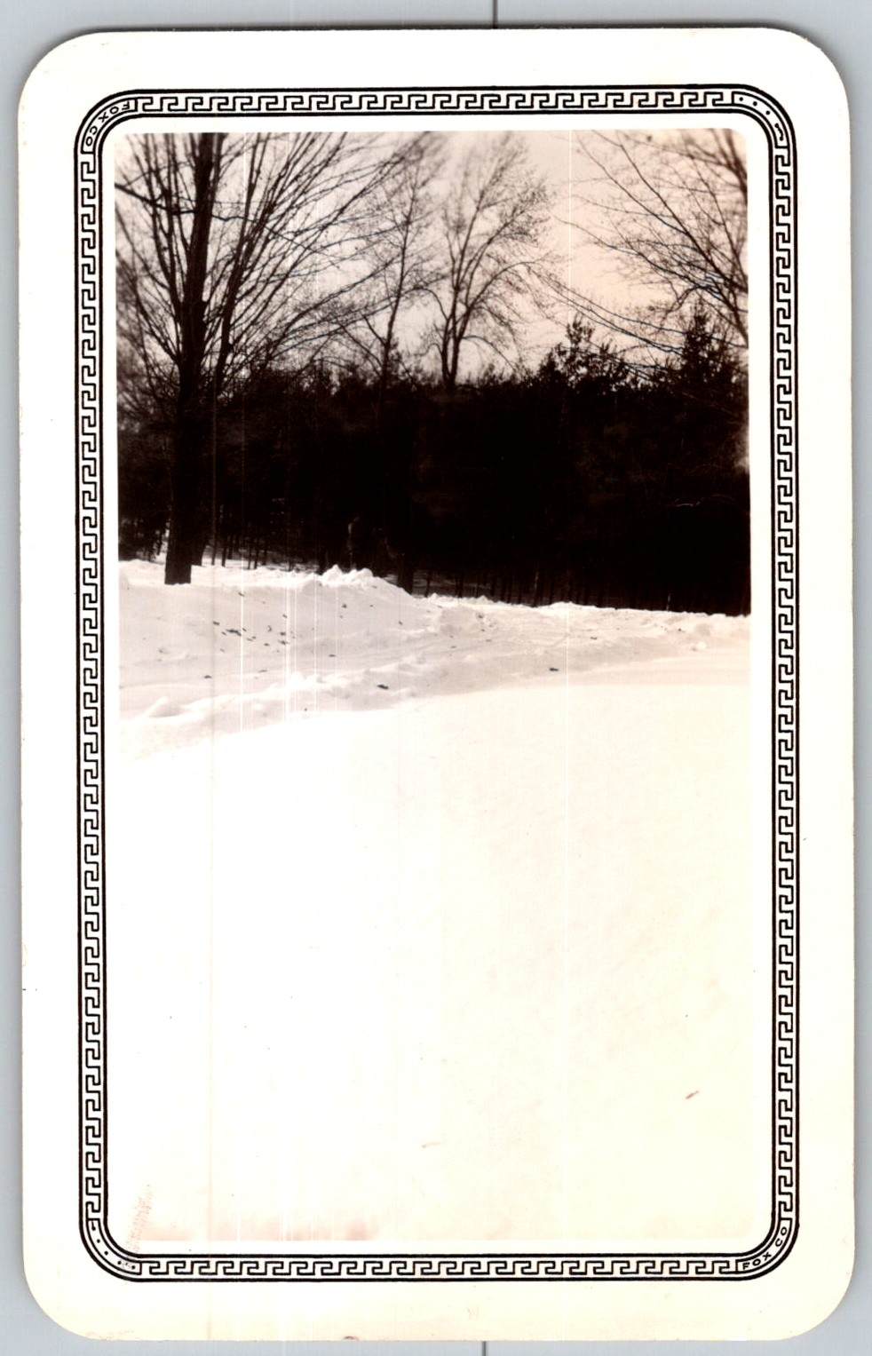 Vtg B&W Snapshot Winter Snow Landscape Forest Trees Border 1930s