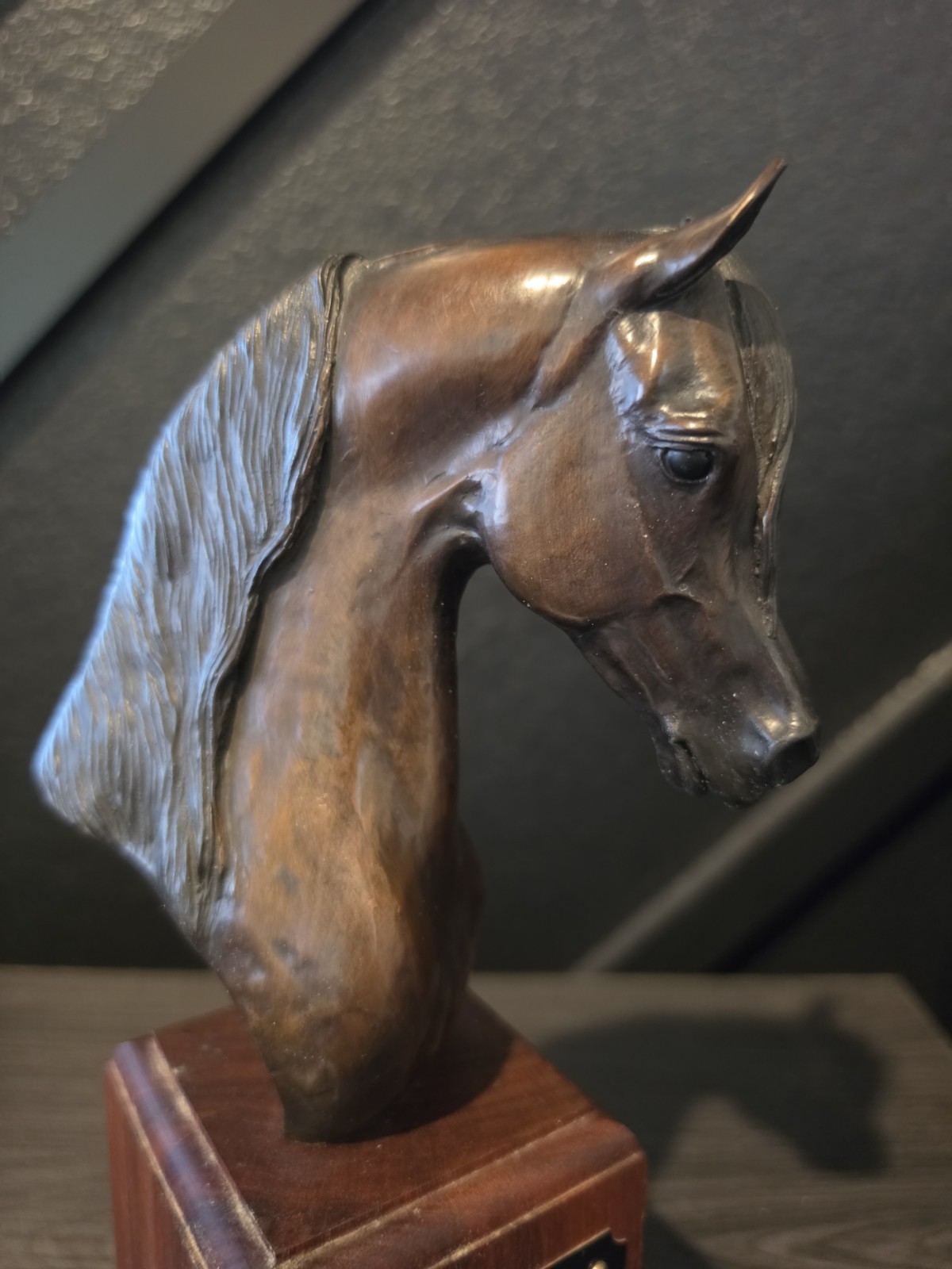 JONATHAN MOELLER BRONZE ARABIAN HORSE SCULPTURE Trophy NICE Figurine