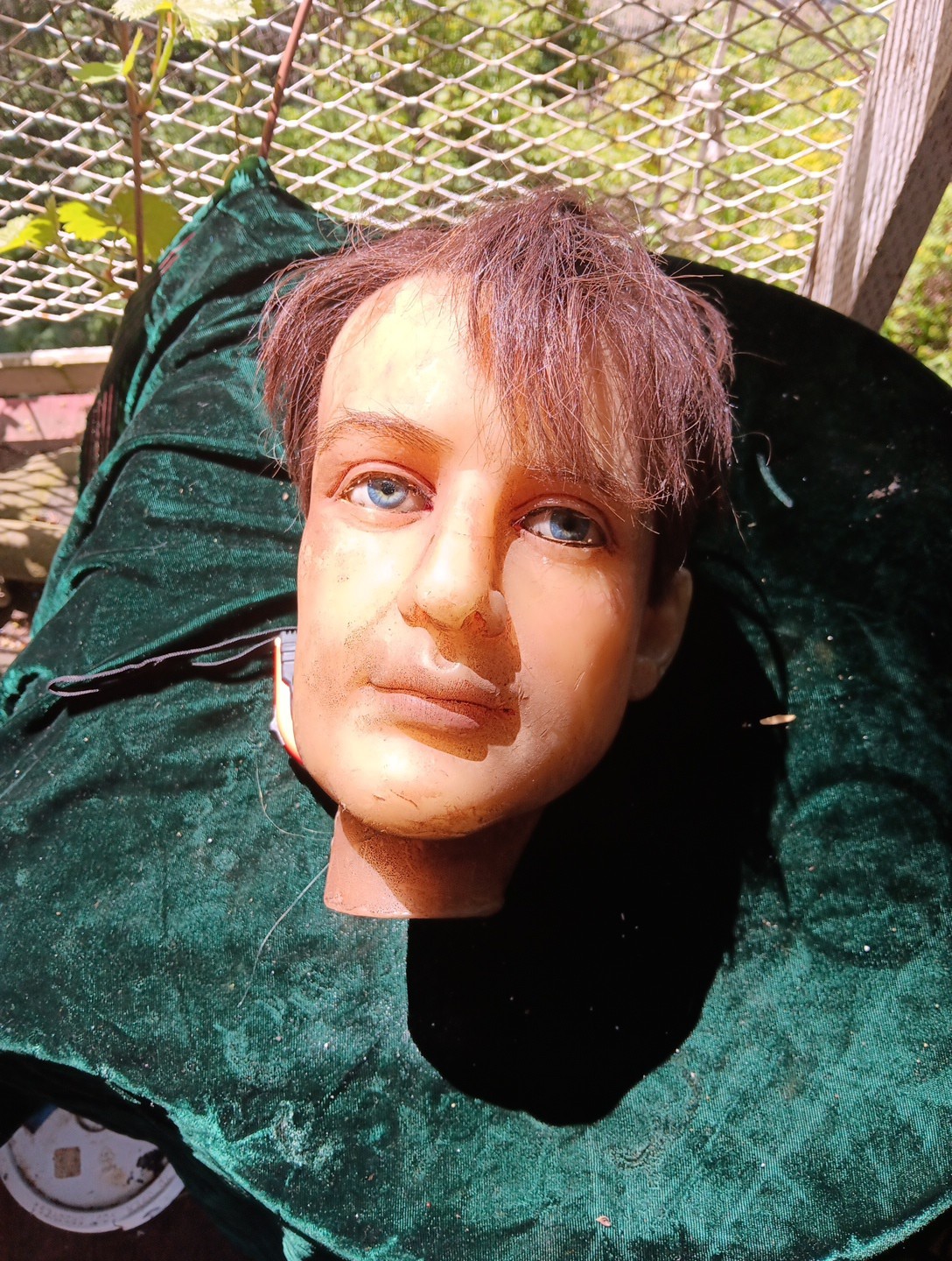 Antique wax mannequin head. Glass Eyes Real Hair.
