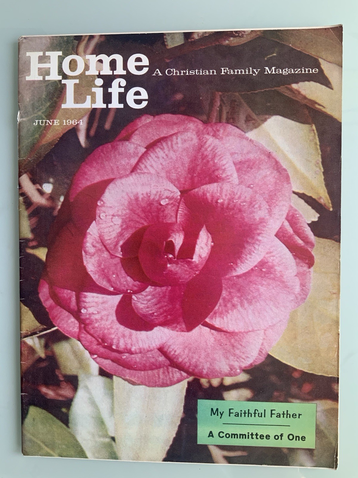 Home Life - A Christian Family Magazine |  Vintage June 1964 Issue