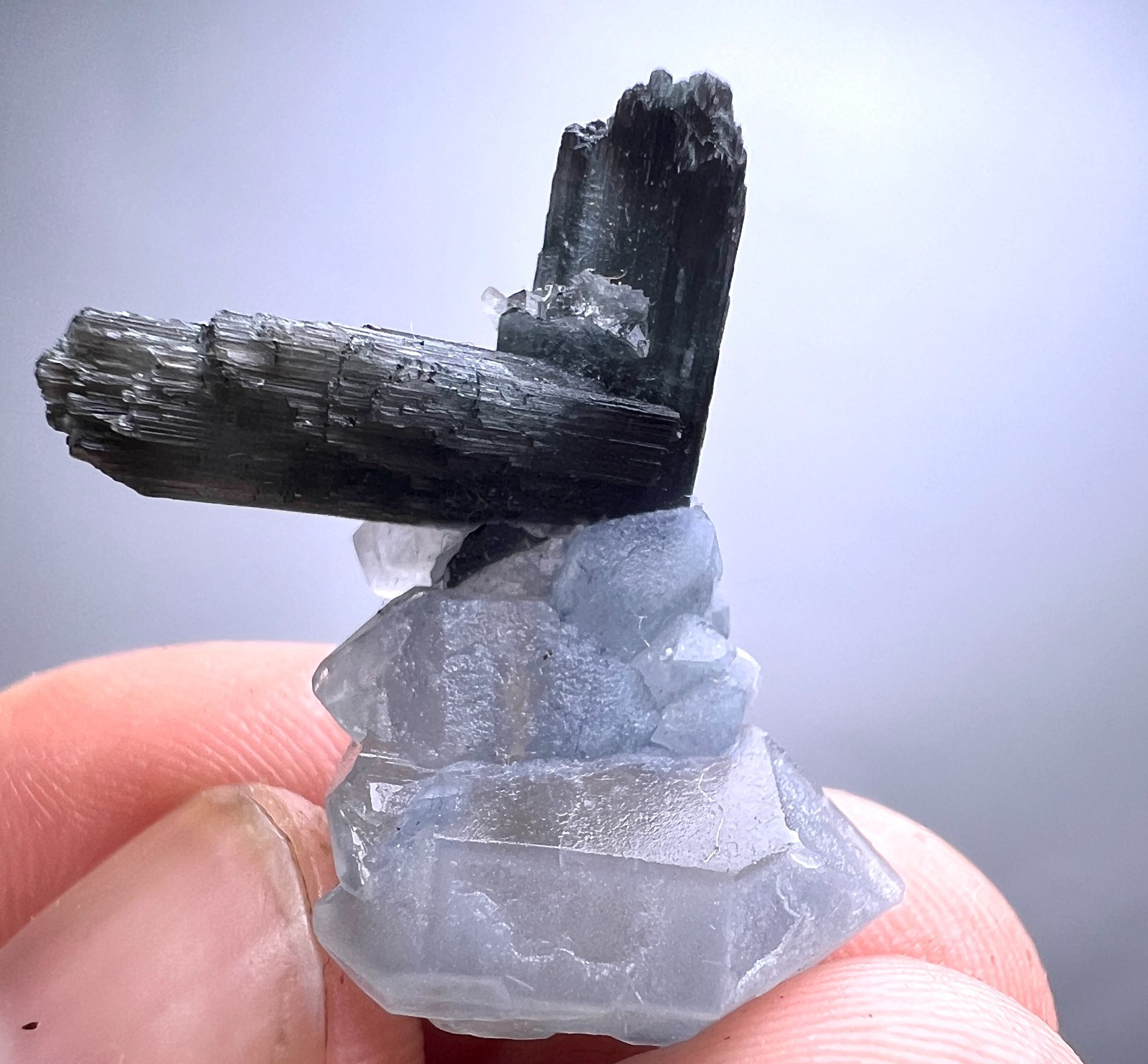 23 CT. Rare Full Terminated Indicolite Tourmaline Crystal On Blue Quartz - AFG