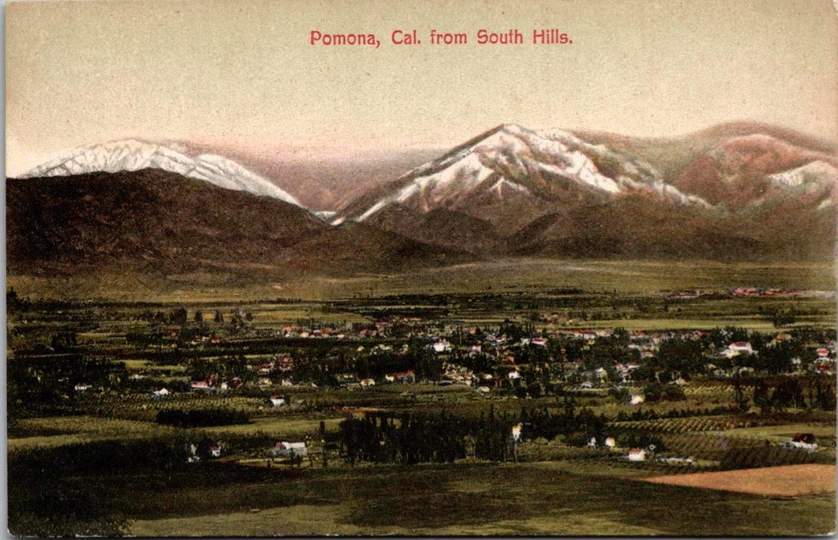 c1908 Birdseye View Pomona California CA South Hills Newman Post Card Postcard