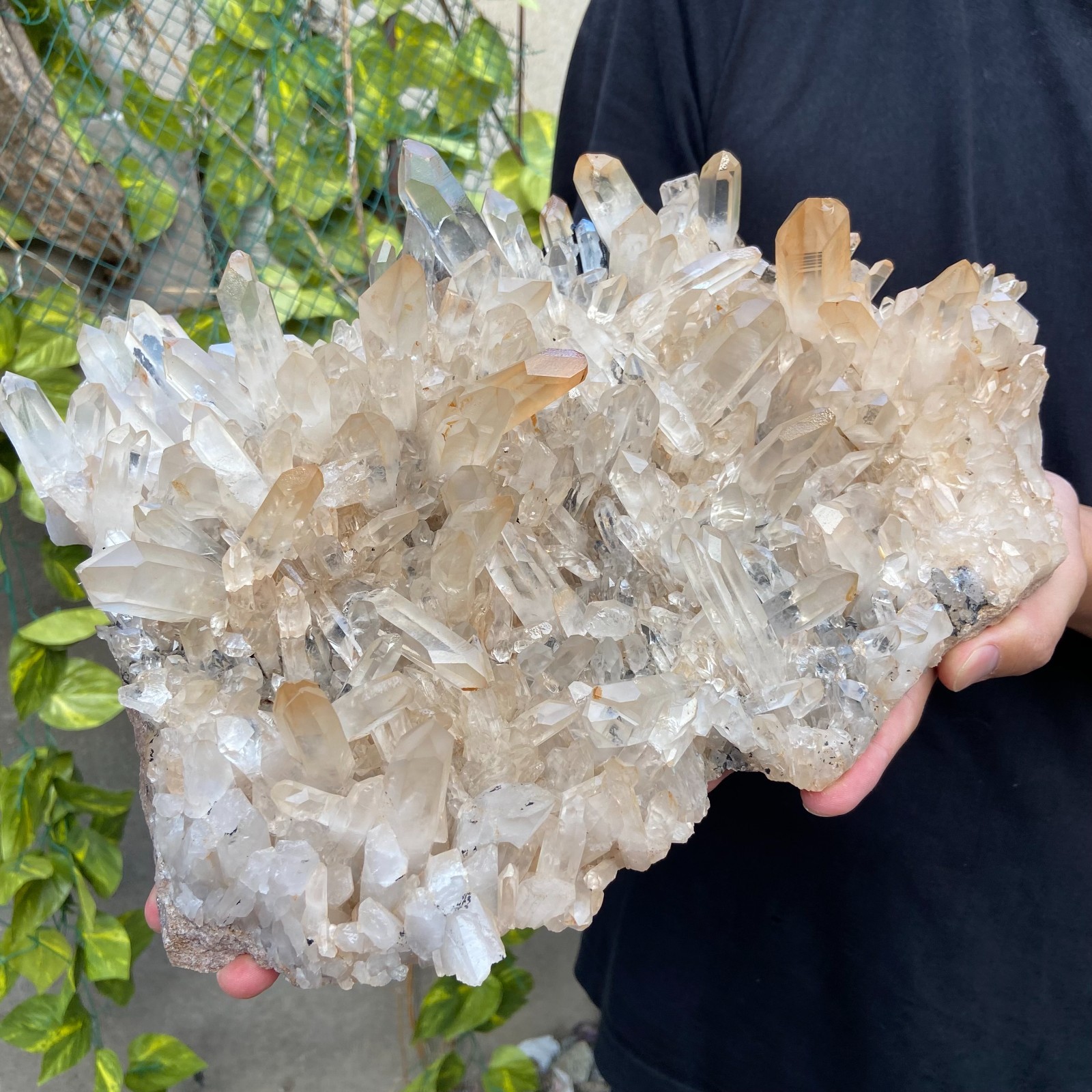 17.5lb Large Natural Clear White Quartz Crystal Cluster Rough Healing Specimen
