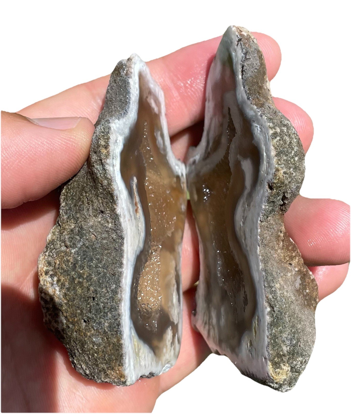 Agatized Corral Geode With Druzy Calcite Crystals Inside Rare Specimen From FL
