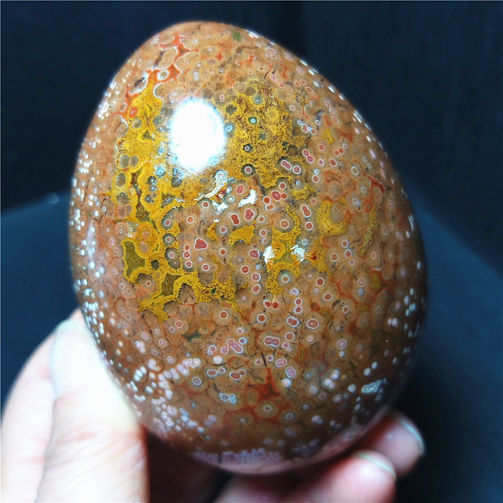 RARE 395.6G Natural Polished Orbicular Ocean Jasper Egg Reiki Healing C968