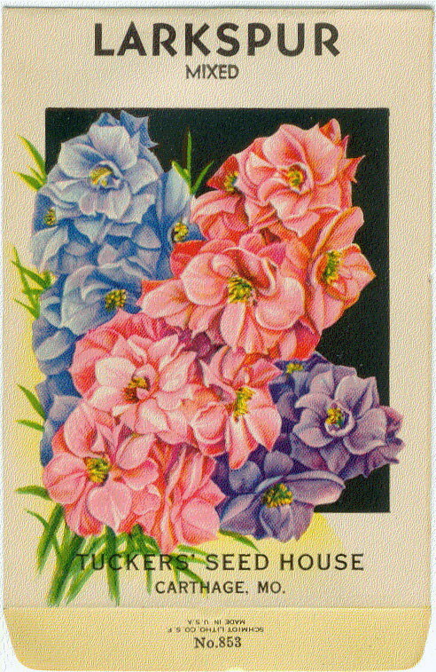 LARKSPUR Vintage Flower Seed Packet   