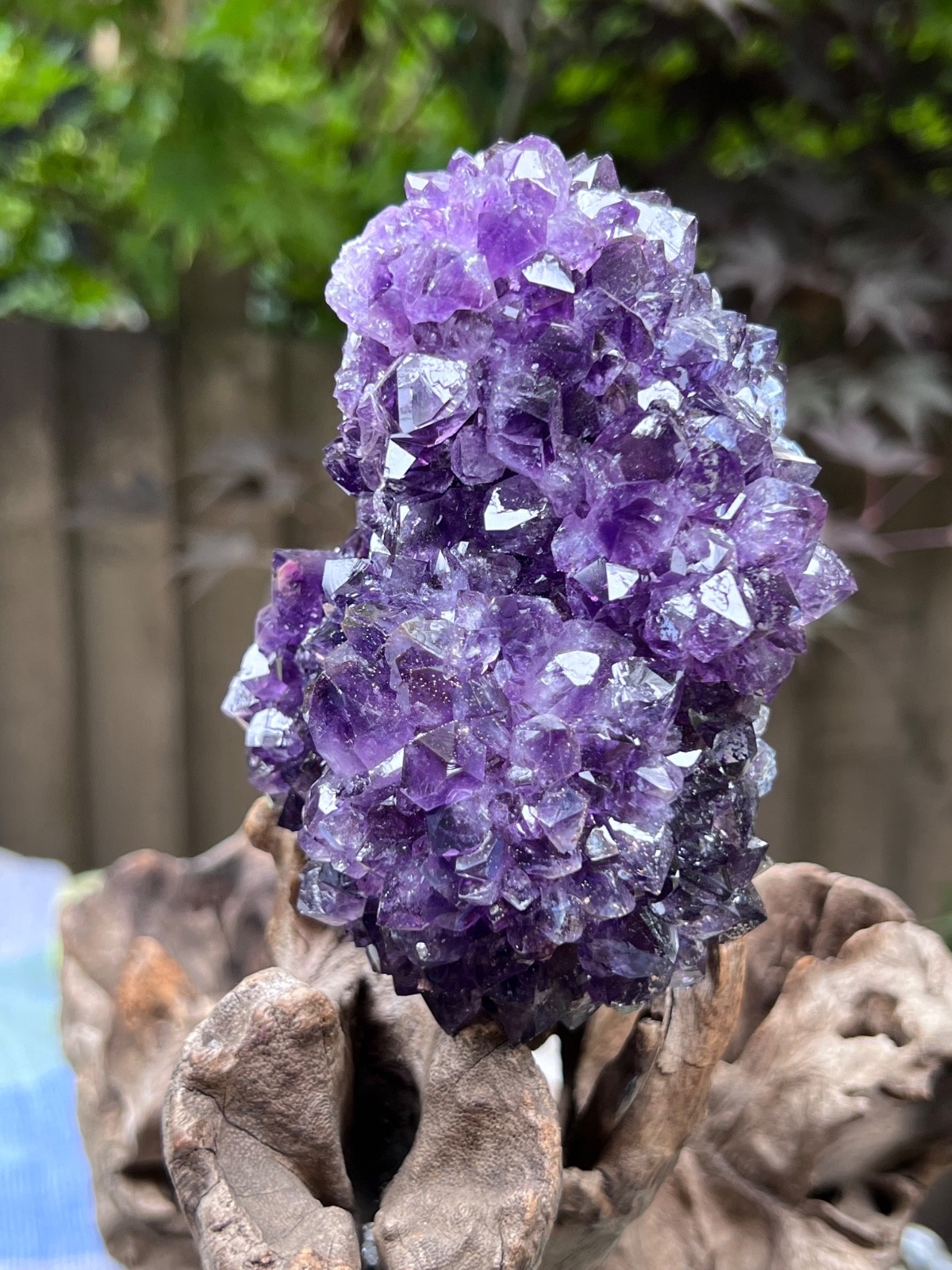 Amethyst Rosette Double Stalactite Cluster Uruguayan 683g 10 AAA+ Deep Purple