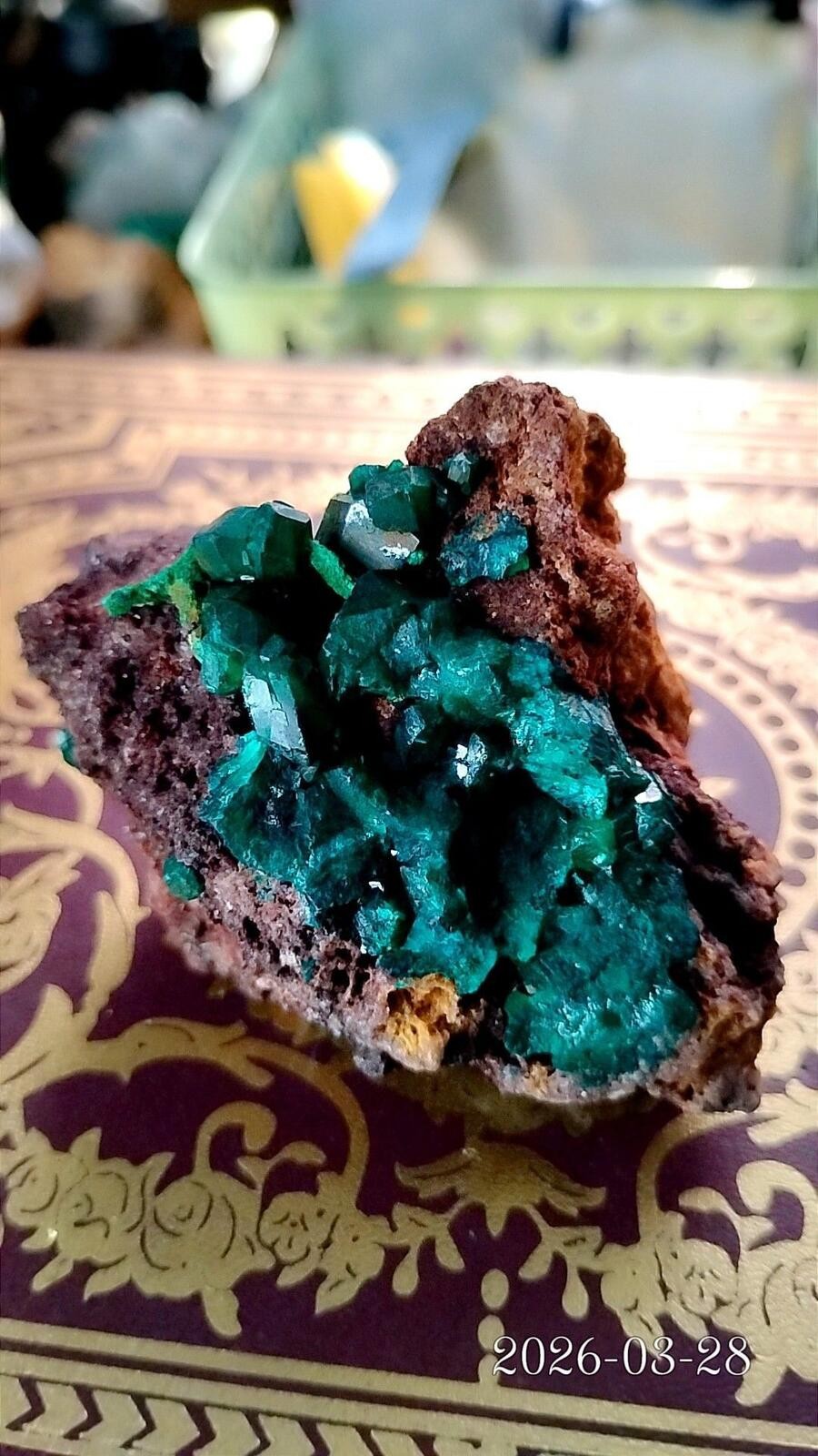 137g Dioptase w/ Malachite from DR Congo