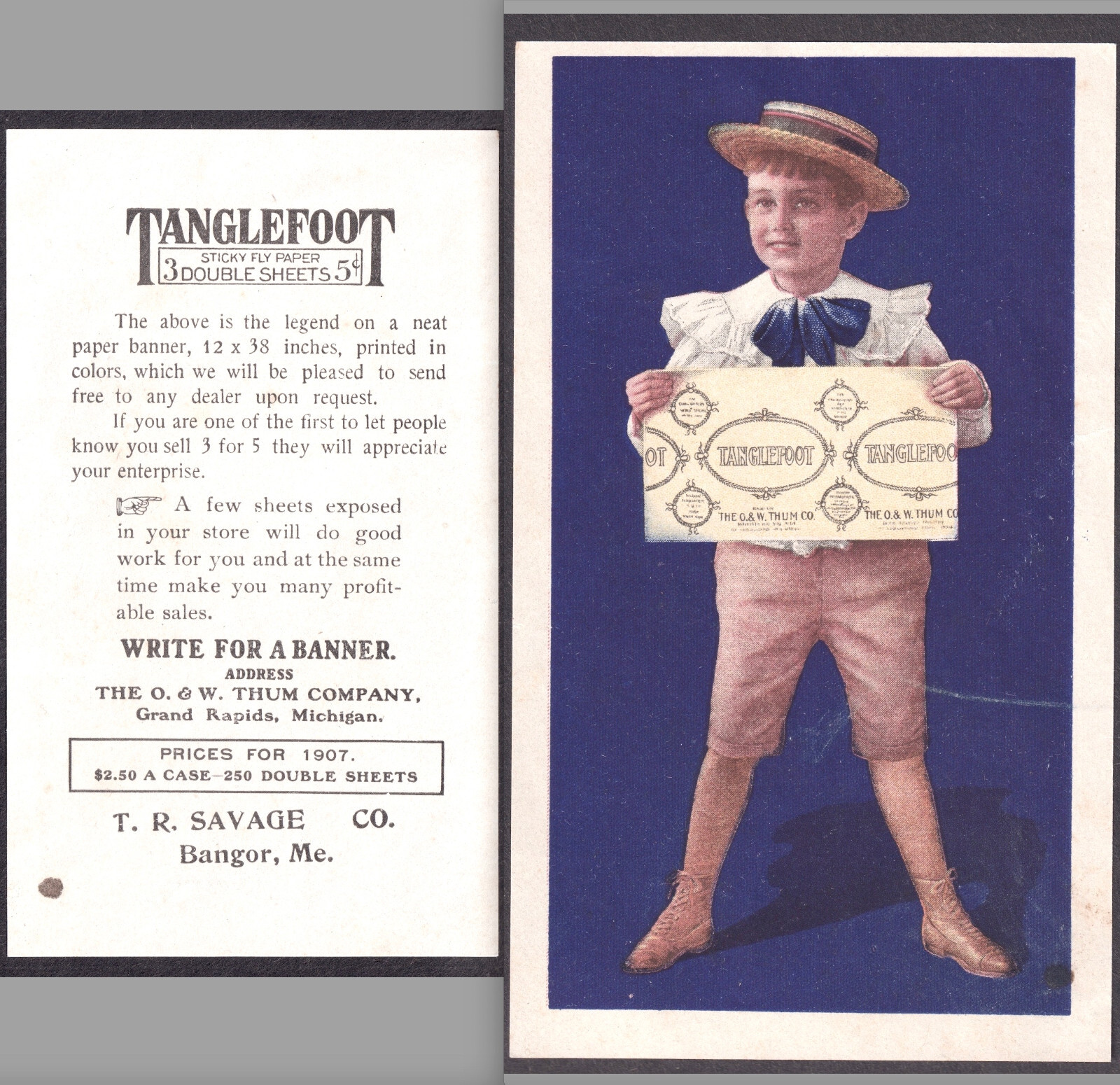 Tanglefoot Sticky Fly Paper Bangor ME Straw Hat Victorian Sissy Boy Trade Card