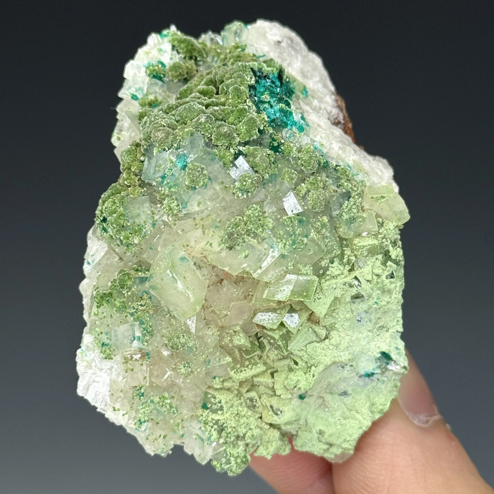 Conichalcite, Dioptase, Calcite, Tsumeb Mine, Oshikoto Region, Namibia