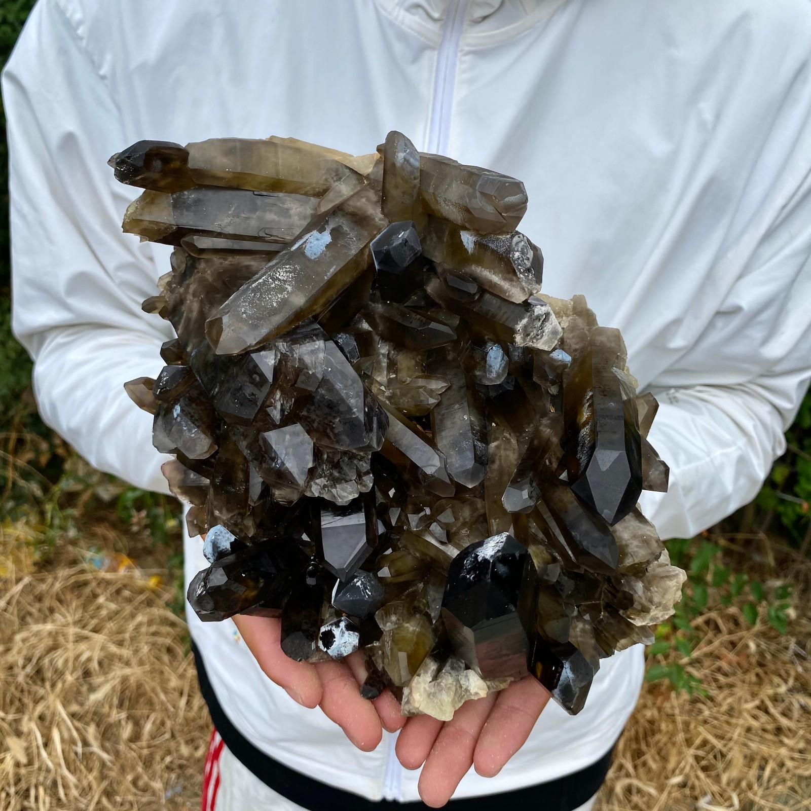5.5LB Natural smoky black quartz cluster crystal mineral specimen