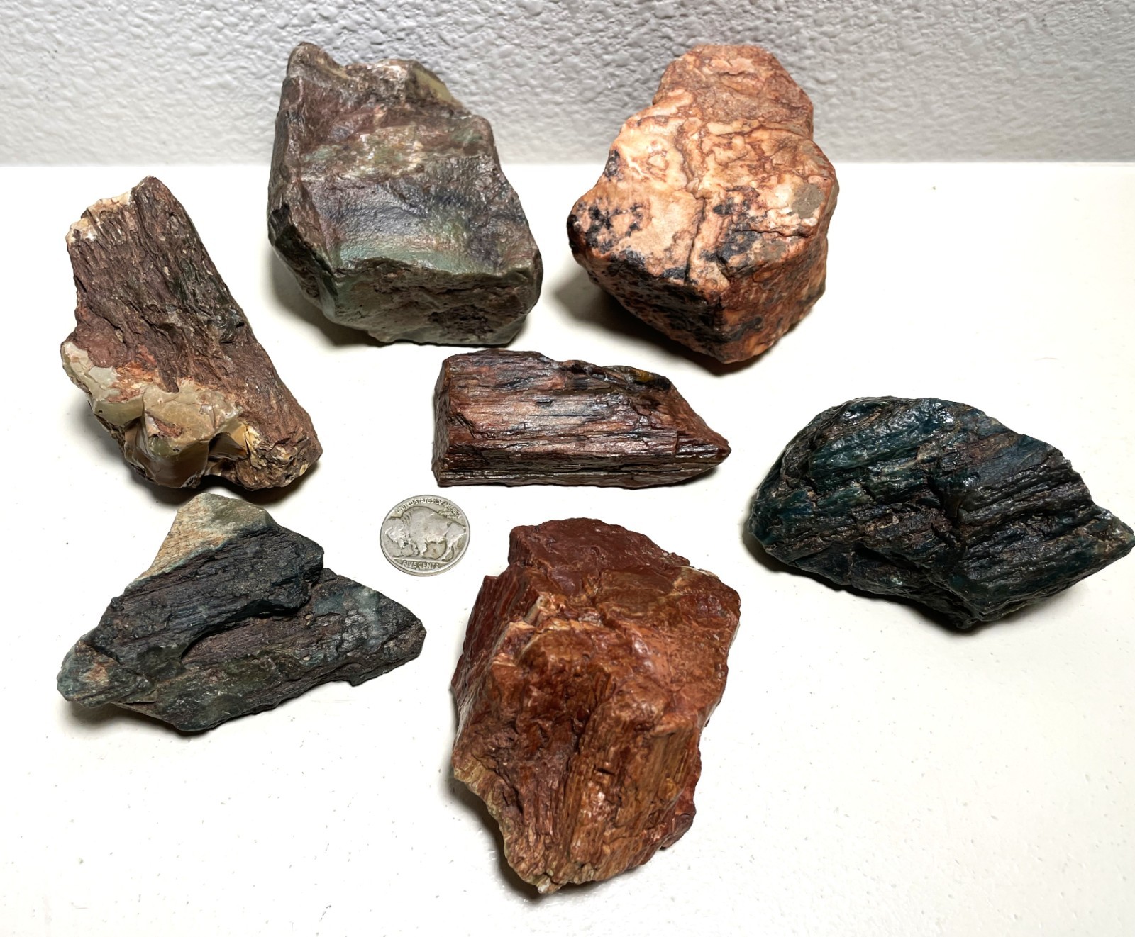 Hampton Butte PETRIFIED WOOD 7 Specimens 2 lbs 14 ozs Green Red Tan Desktop