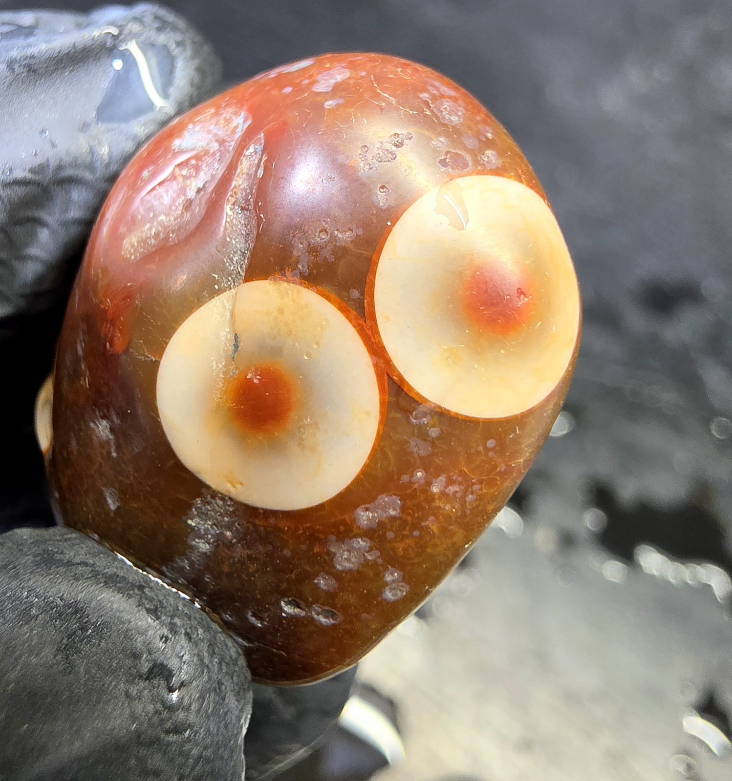 Collectors Specimen Lake Superior Orbicular Fortification Agate