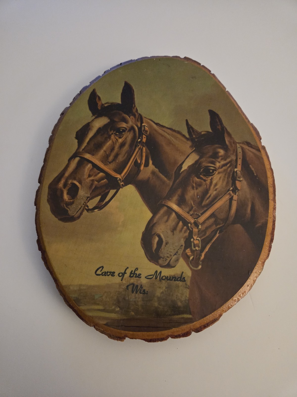 Vintage RK Blue Grass Champs Horses ~ Painted Wood, Decoupage Wall Art