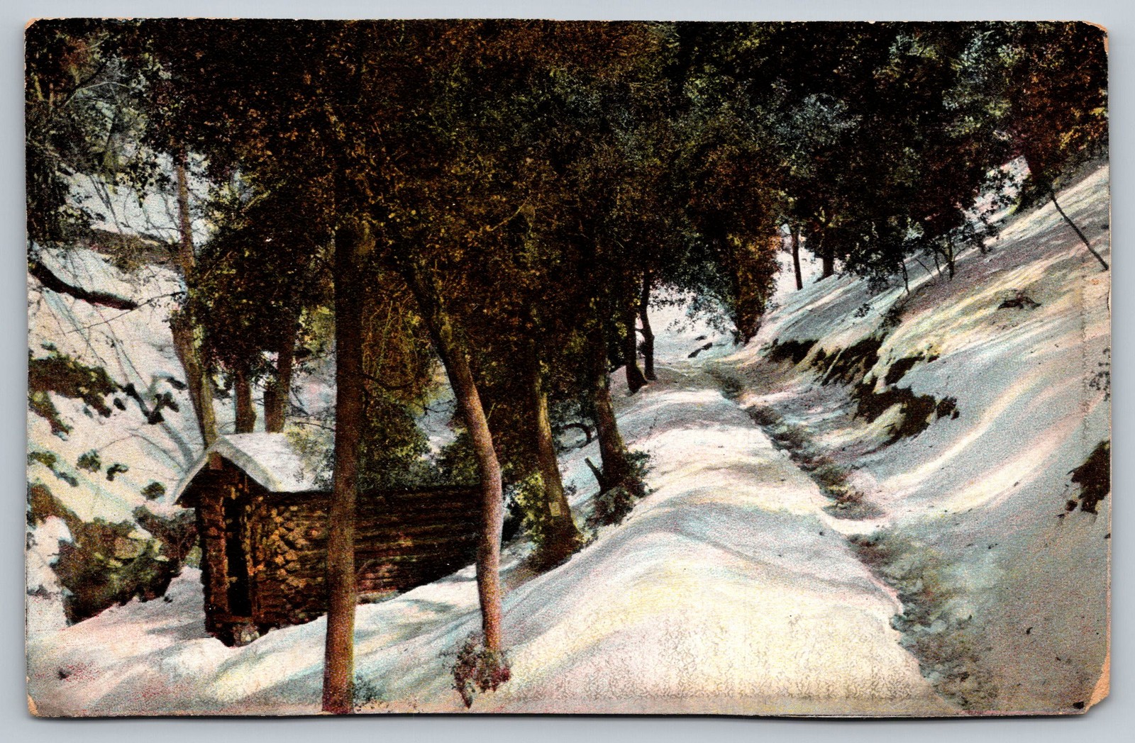 Vintage Mt. Lowe Trail Winter Scene Postcard by M. Rieder Los Angeles