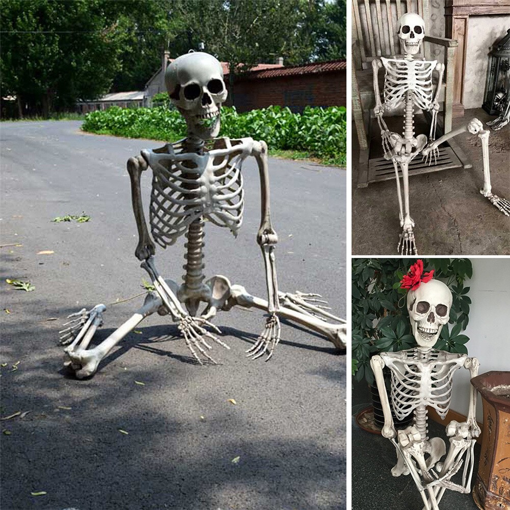 5.4FT Life Size Halloween Skeleton Full Body Movable Joints Indoor Outdoor Decor